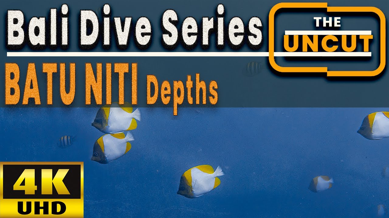 Pure Diving: 60 Minutes of Unedited 4K Scuba at Batu Niti [Slow TV]