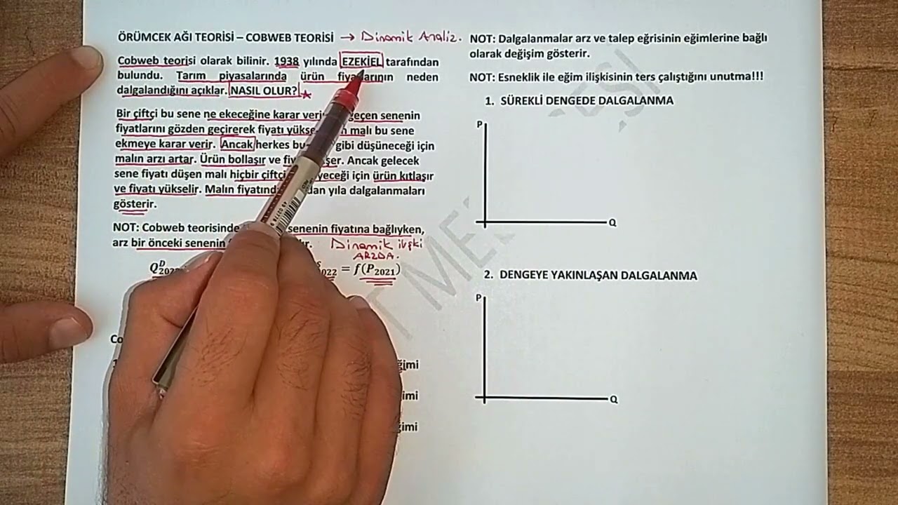 30) ÖRÜMCEK AĞI (COBWEB) TEORİSİ ve KİNG KANUNU ANALİZİ