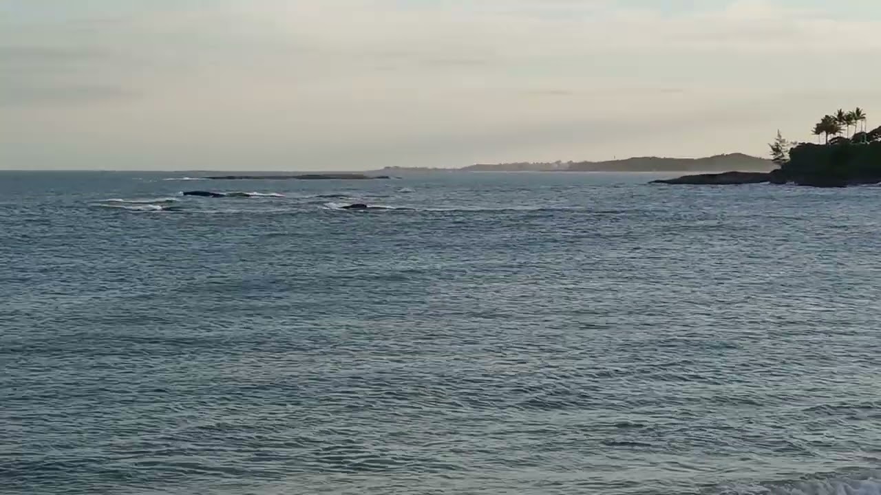 Praia da areia preta..Guarapari. Es. 