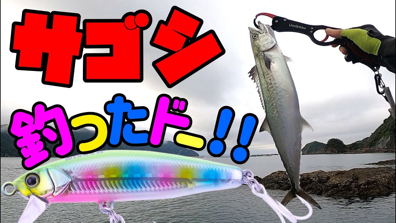 【青物】ＬＳＪ最後の切り札はやっぱりこのルアーでした。【ライトショアジギング･堤防･地磯･ジャコナブラミノー】