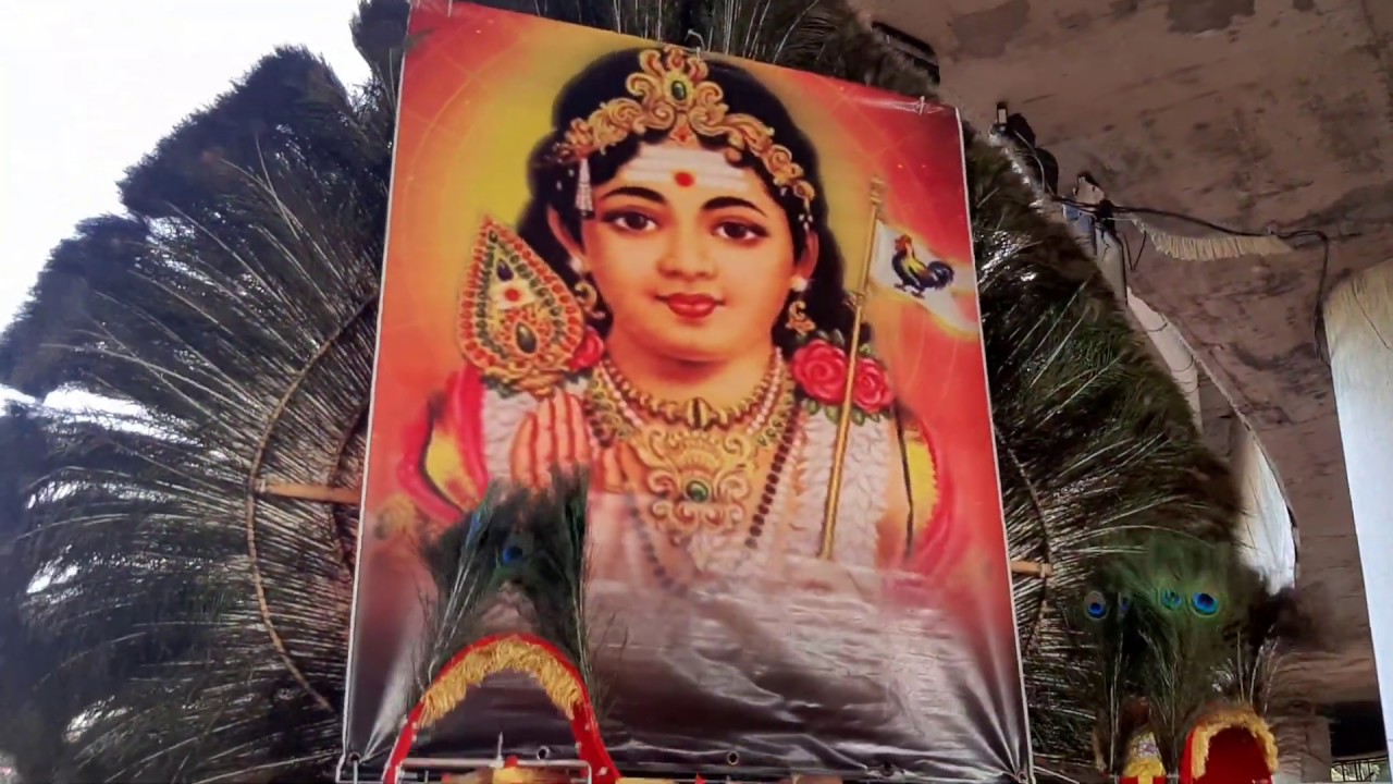 Thaipusam in Batu Caves 2020 | 1st Feb | Kavadi | Urumi