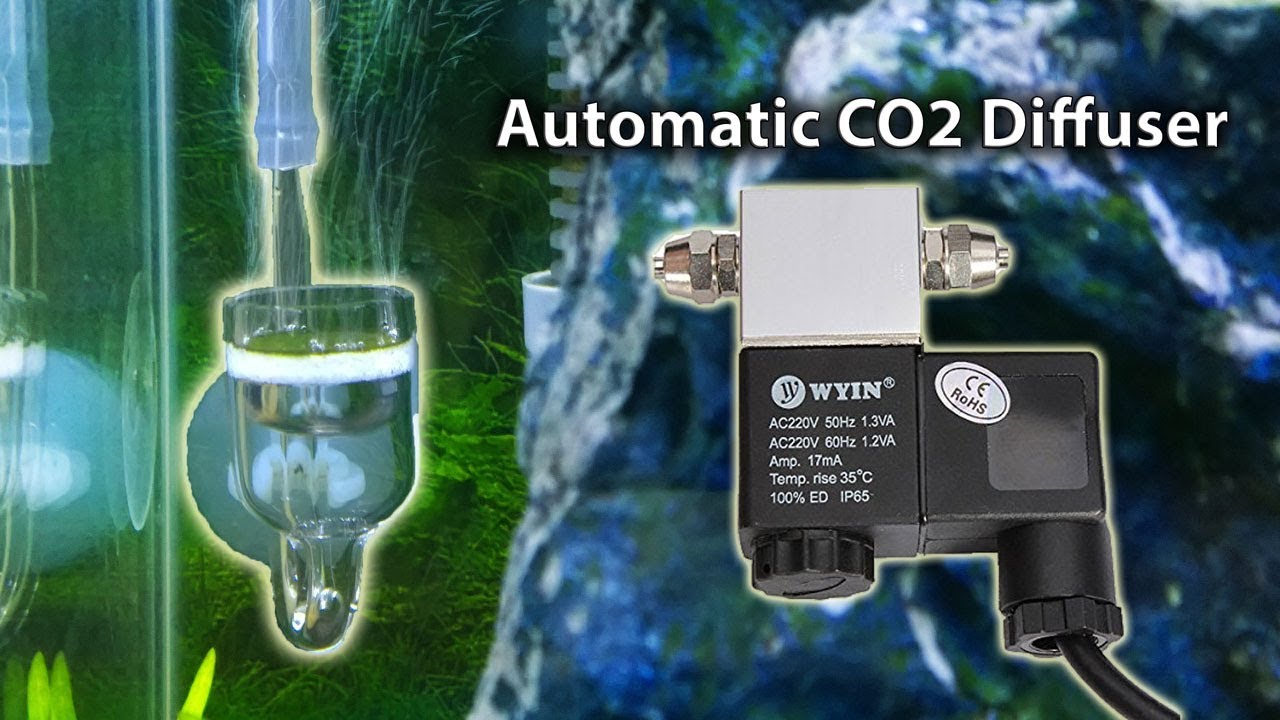 Automatic CO2 Diffuser set for planted aquariums