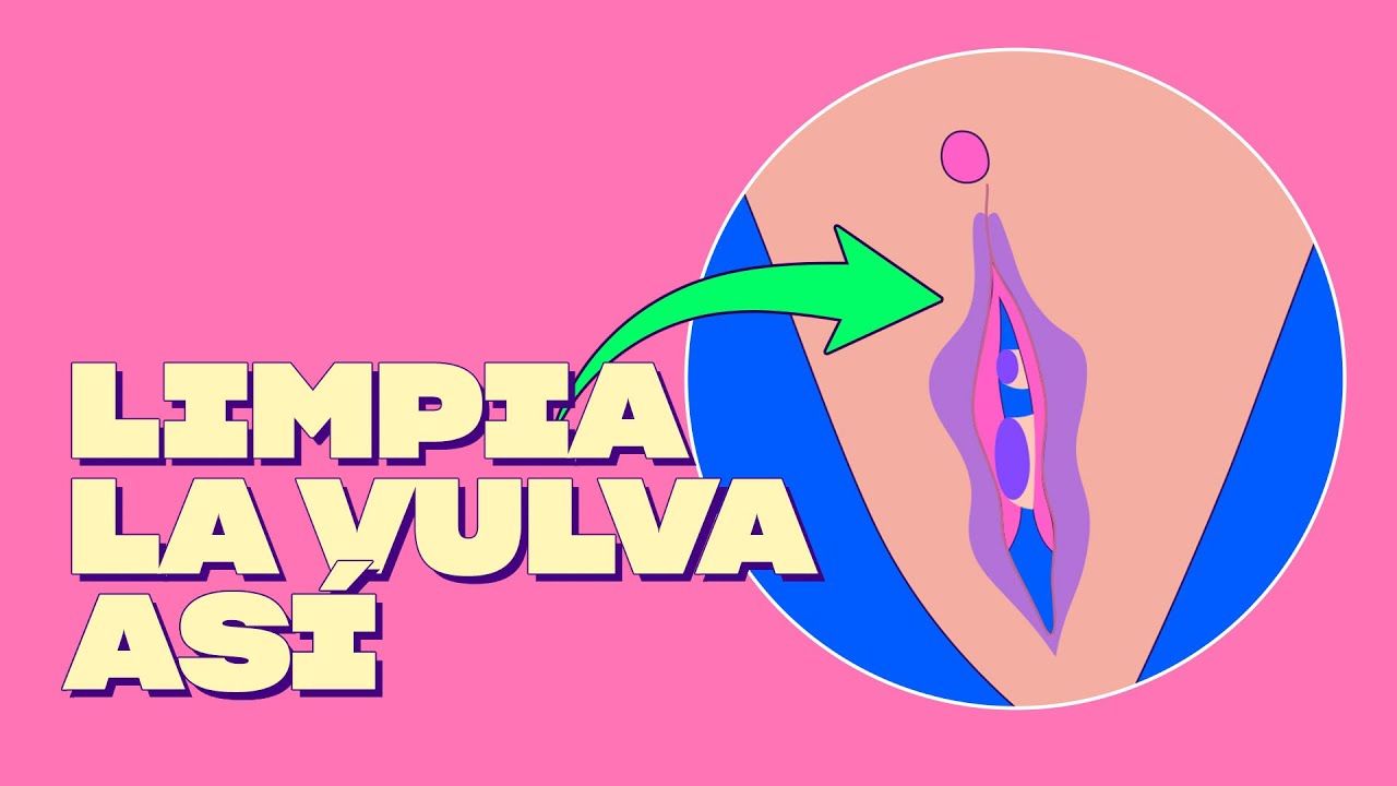 ¿Cómo se limpia bien la vulva?