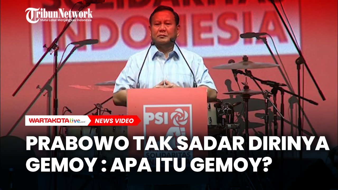 Momen Lucu Prabowo Tak Sadar Dirinya Gemoy: Apa itu Gemoy?