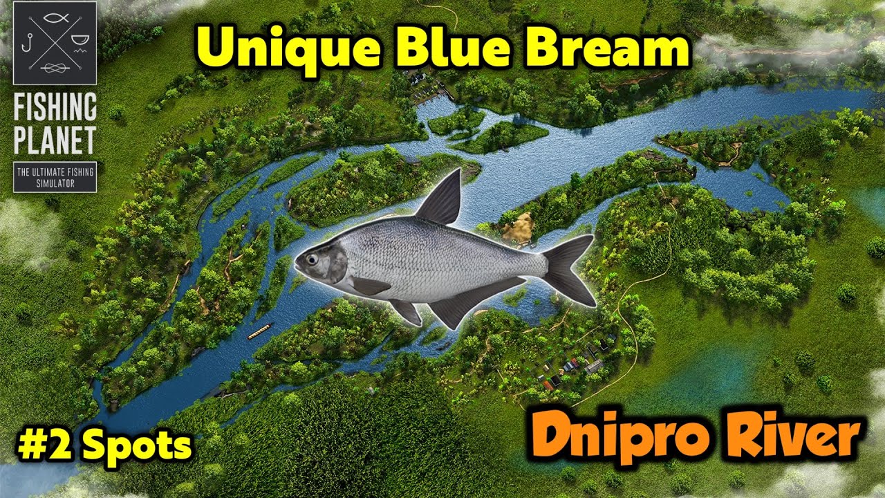 Unique Blue Bream Dnipro River - Fishing Planet
