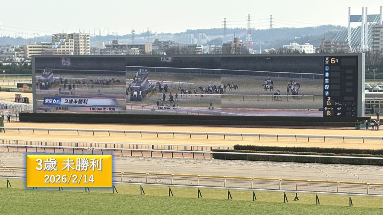 2026年2月14日 | 東京6R 3歳未勝利 | ダーリングハースト | シニャンガ | サートゥルチェア | 現地レース映像 | 東京競馬場 | スマシ観戦