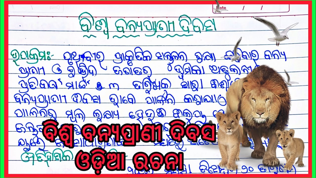 Wildlife day essay in Odia for kids/ ବିଶ୍ୱ ବନ୍ୟପ୍ରାଣୀ ଦିବସ ଉପରେ ଓଡ଼ିଆ ରଚନା / ବନ୍ୟପ୍ରାଣୀ ଦିବସ ୨୦୨୬ 