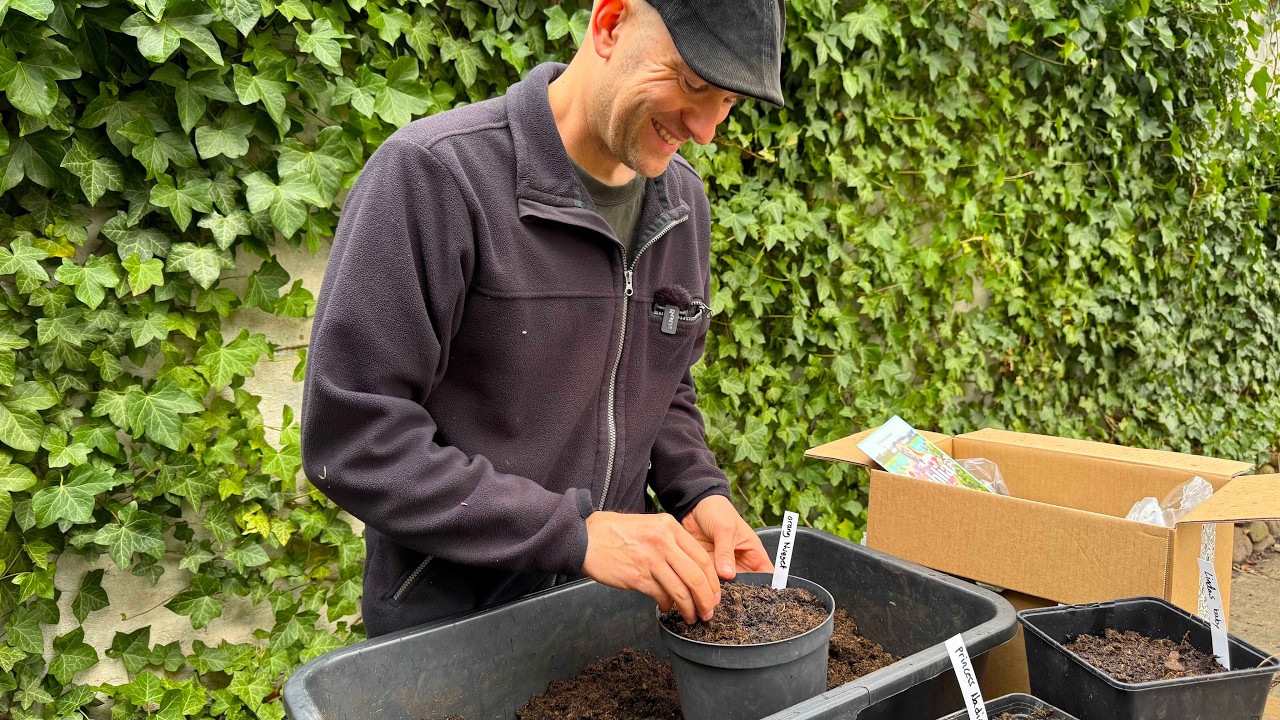 Planting Dahlia Tubers in Pots for Early Start + Winter Sowing Update