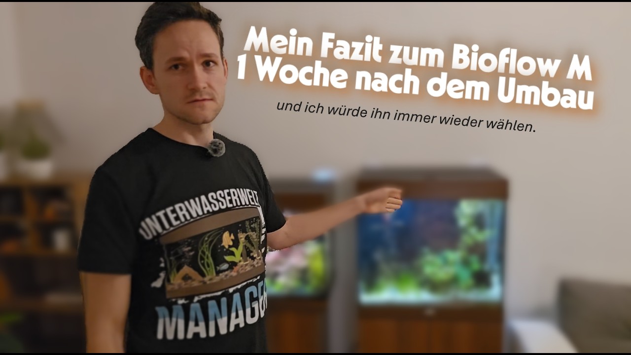 Innenfilter statt Außenfilter?! 😳 Bioflow Umbau – mein Fazit
