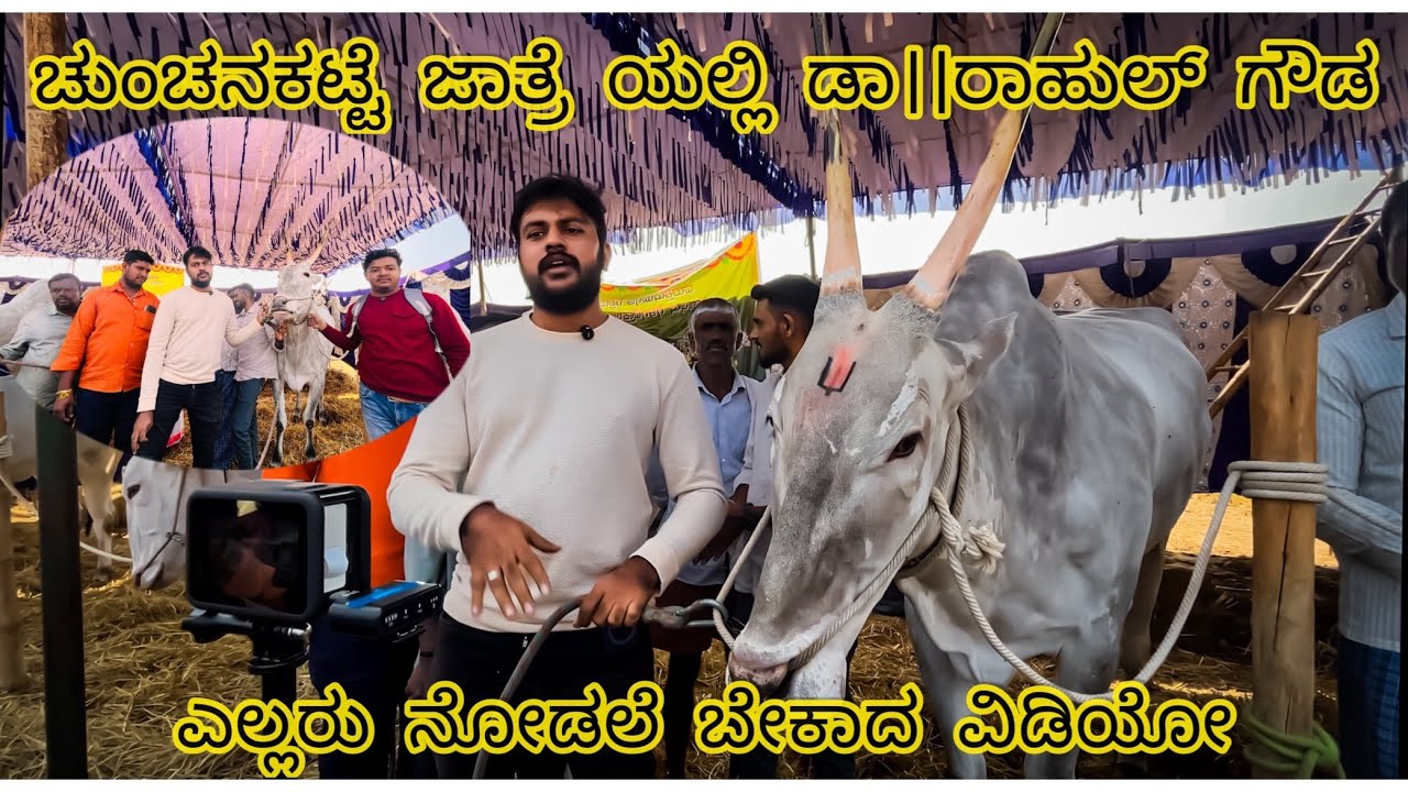 ಚುಂಚನಕಟ್ಟೆ ಜಾತ್ರೆ ಯಲ್ಲಿ ಡಾ।।ರಾಹುಲ್ ಗೌಡ ಅವರ ಅದ್ದೂರಿ ಮಾತು #viral #youtube #karnataka #chunchanakatte 