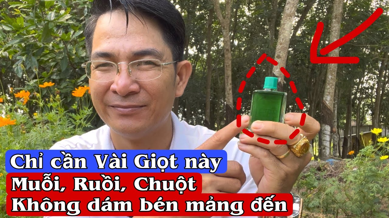 Chỉ cần Vài Giọt này Muỗi, Ruồi, Chuột không dám bén mảng đến. PHAN HẢI Channel