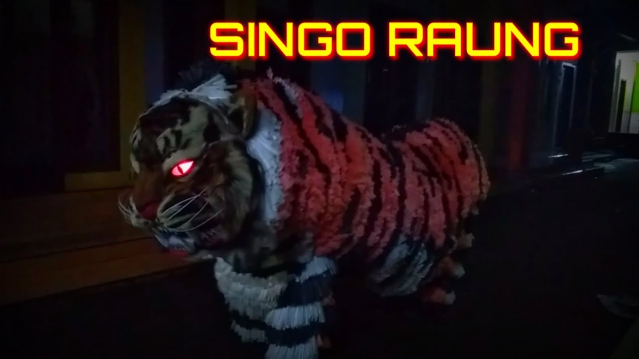 CAN MACANAN SINGO RAUNG BERKELIARAN DIDEPAN RUMAH WARGA TENGAH MALAM | SINGO RAUNG