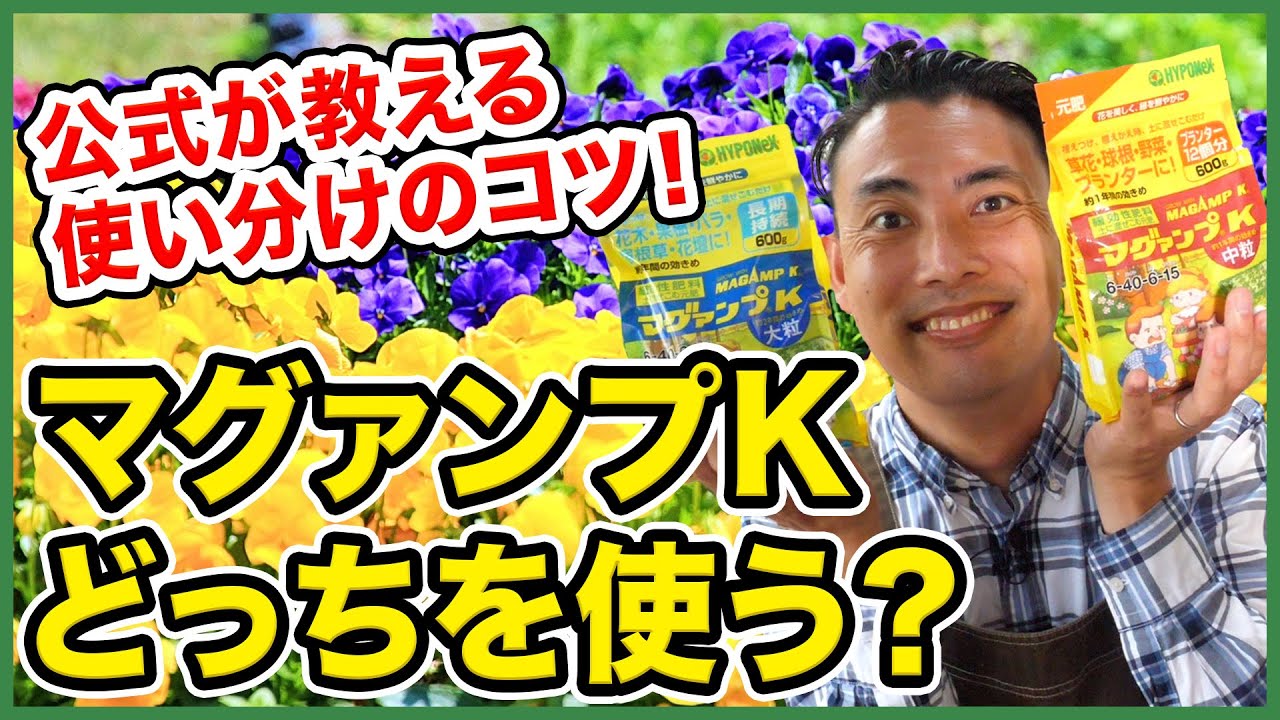 【園芸の基本】公式が教える！マグァンプK徹底解説〜中粒と大粒どっちを使う？〜【園芸塾】【ハイポネックス】