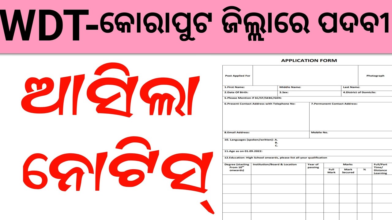 25 WDT Job Vacancy ! Koraput District Vacancy 2022 ! Odisha Job News ! Job Vacancy 2022 ! Odisha Job