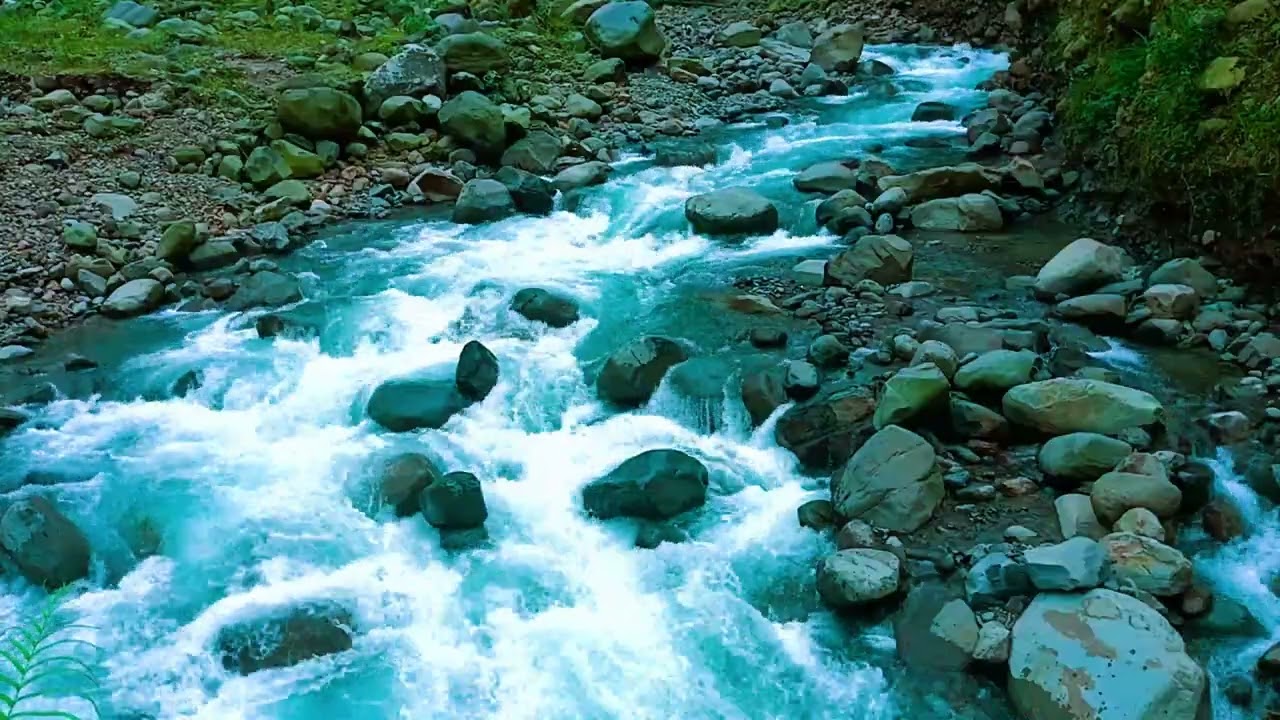 Forest River Sounds at Night for Deep Sleep and Anxiety Relief