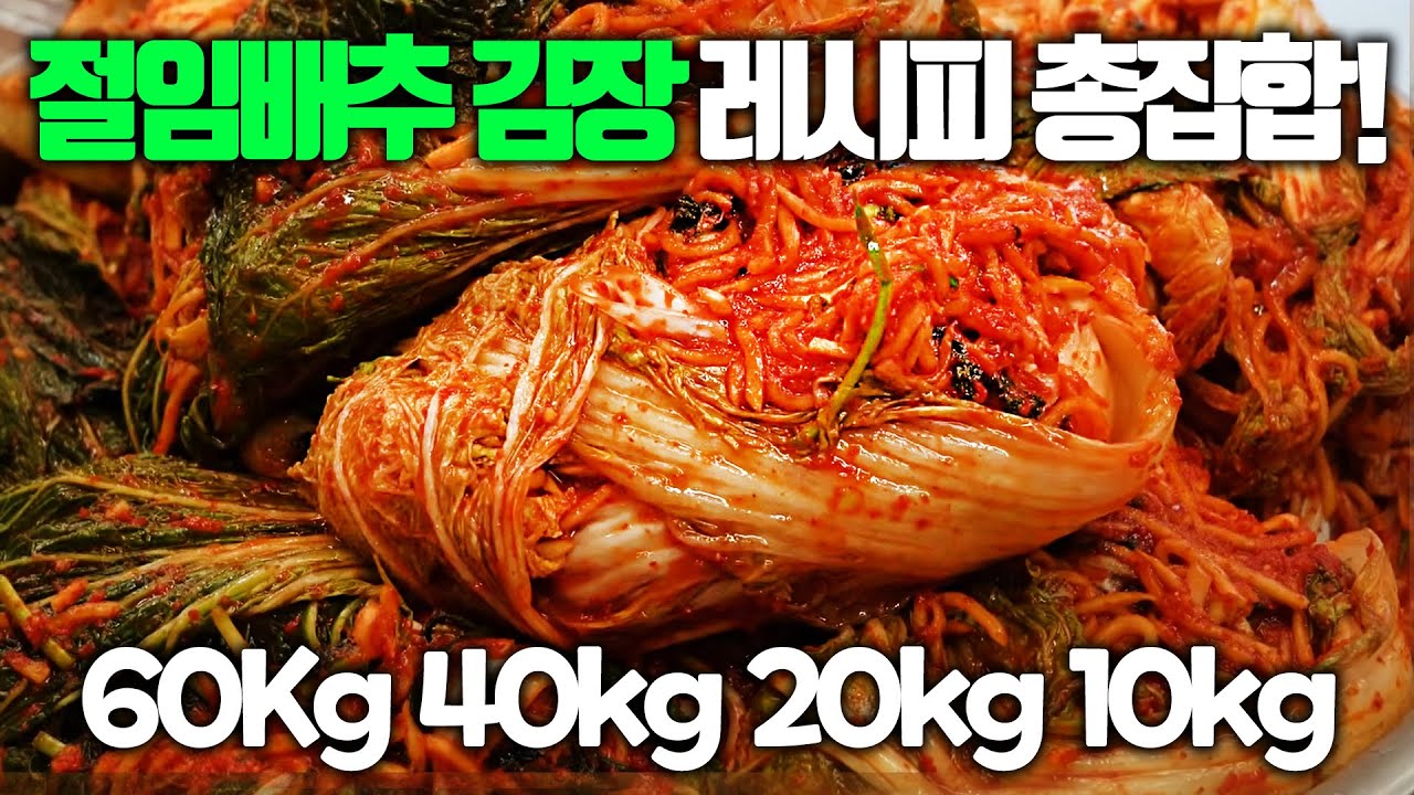 김장 시작! 실패없는 절임배추 김장김치 레시피 끝판왕✔️ 절임배추 60Kg,40Kg,20Kg,10Kg 평생 써먹는 레시피