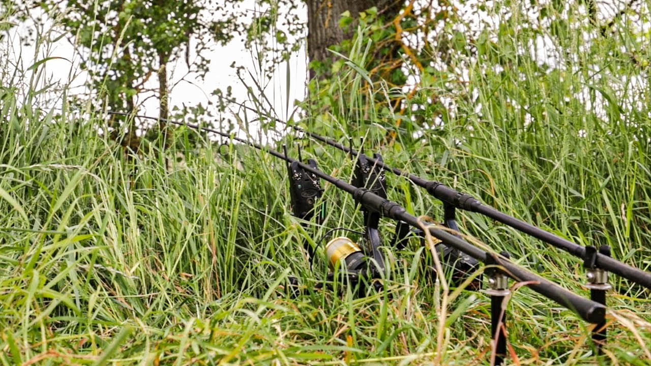 Karpfenangeln am kleinen Fluss. #freestylefishing
