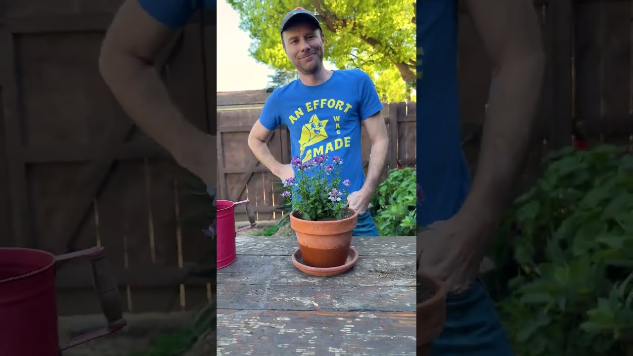Smart Home Garden Tips 🪴