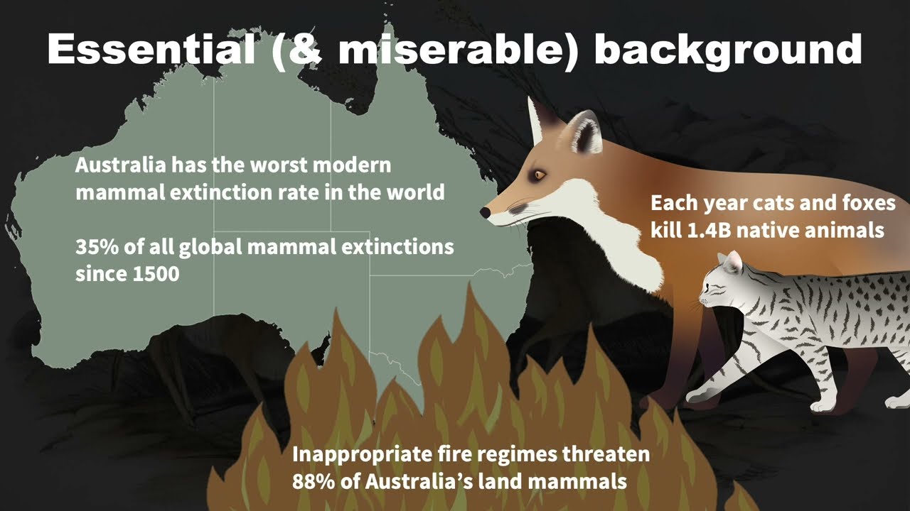 Advancing Mammal Conservation in the Face of Fire and Invasive Predators - Darcy Watchorn