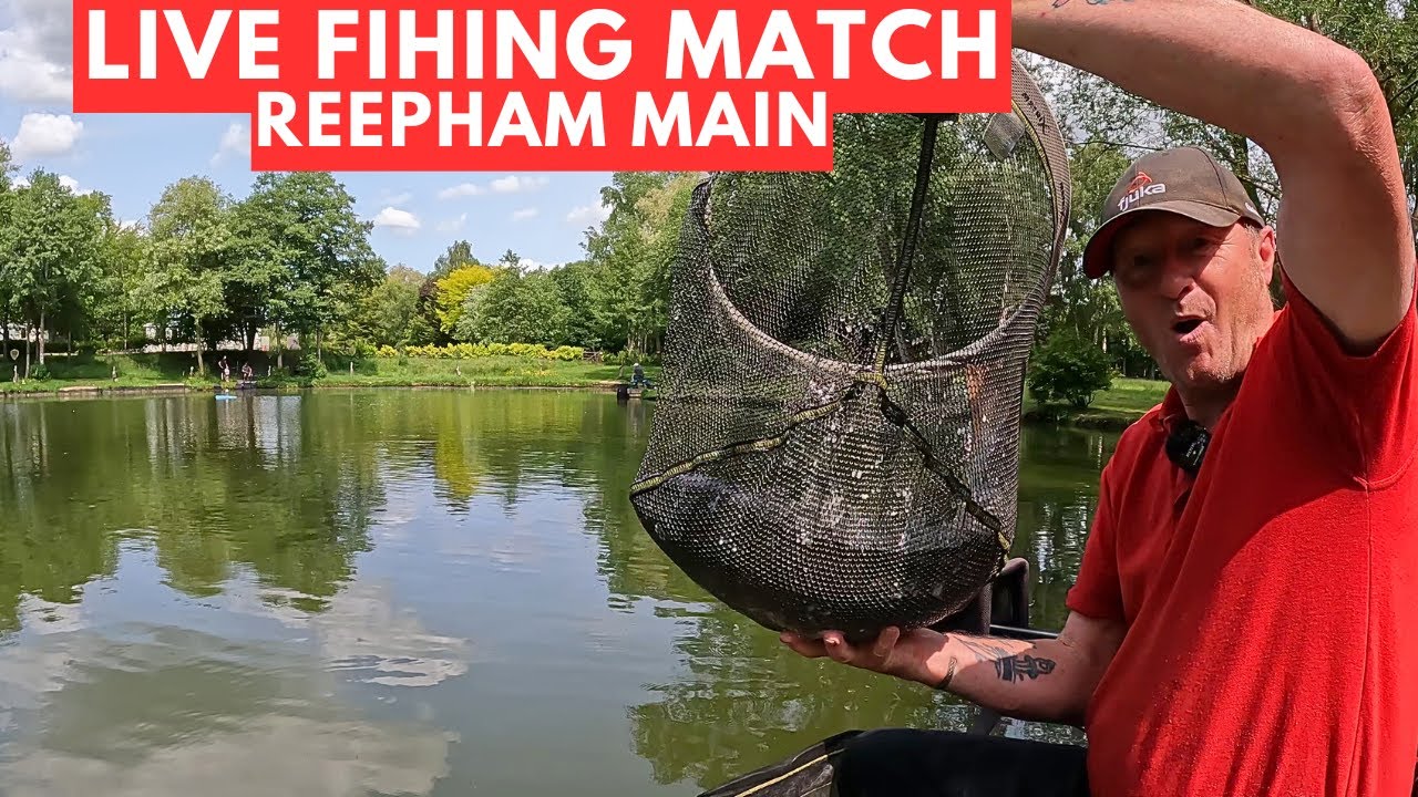 Live Fishing Match Reepham fishery's Norfolk NR10 4NR,  #matchfishinguk
