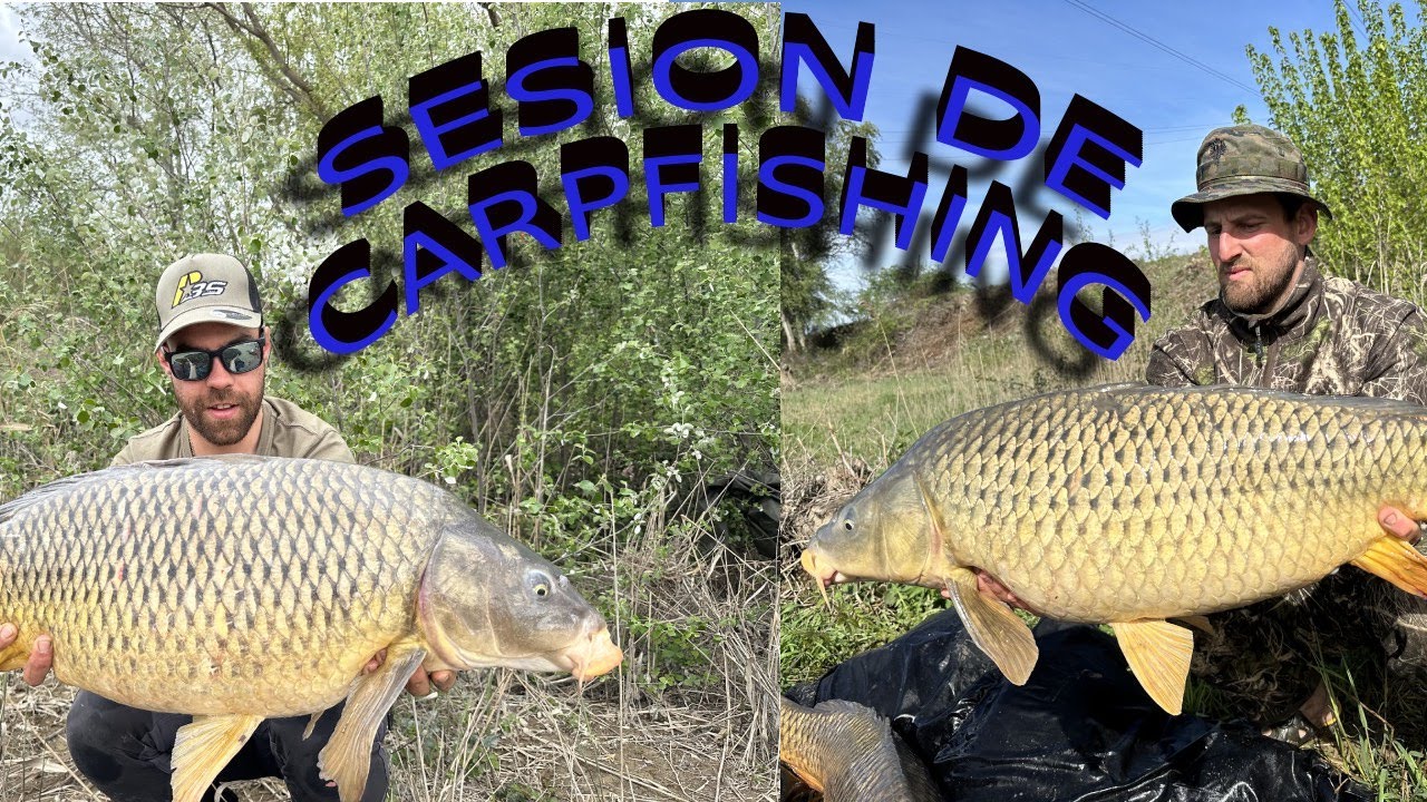 SESION DE CARPFISHING EN EL RIO EBRO!!!  Una sesion donde no falto de nada!! 😂😂🐟🐟