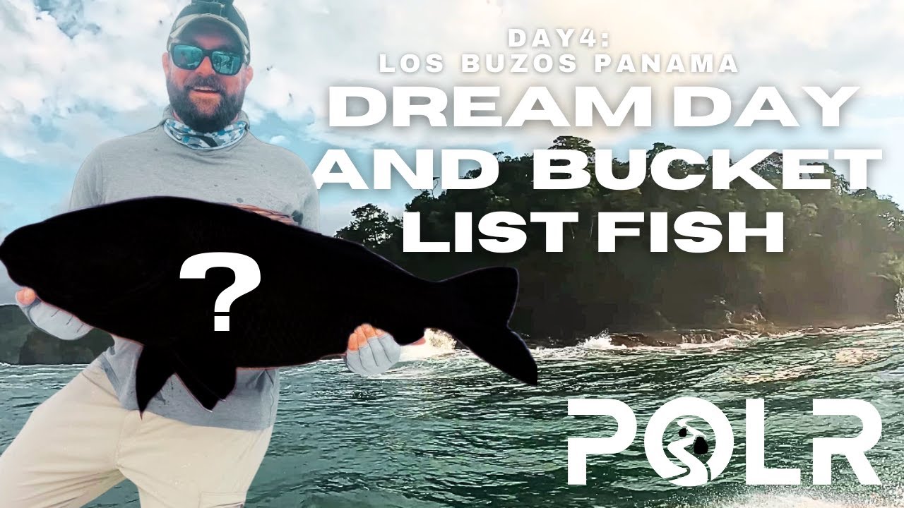Bucket List Fish and the Adventure of a Lifetime: Day 4 at Los Buzos Panama