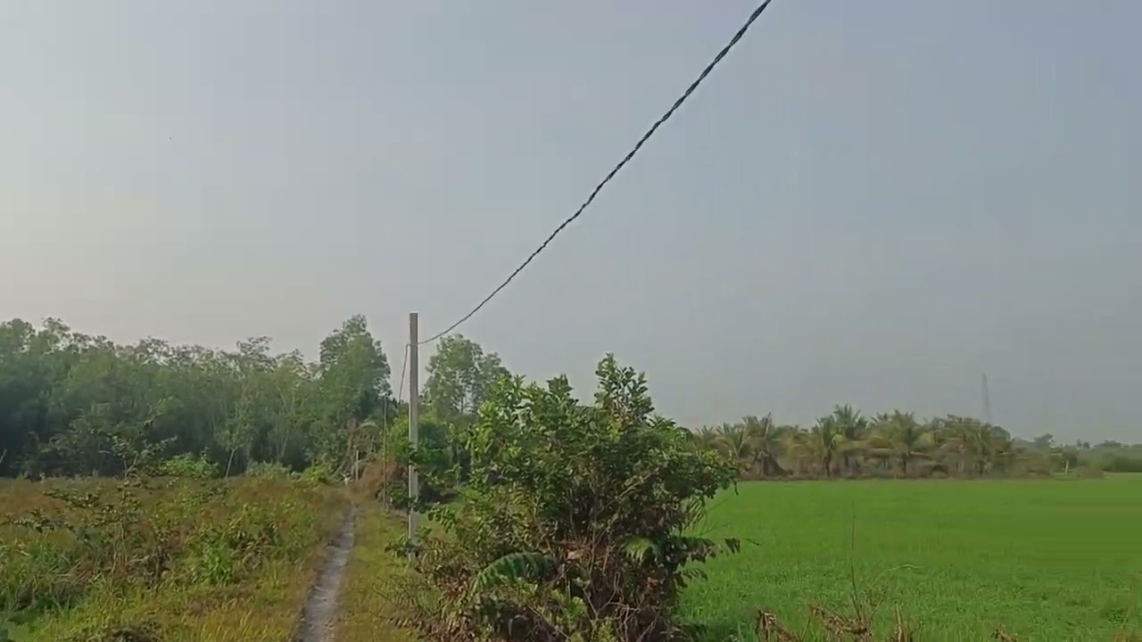 Ms 354 2 lô liền kề 500triu 1000mz xã thạnh lợi tây Ninh mới Sài Gòn 30km LH 0963915438 