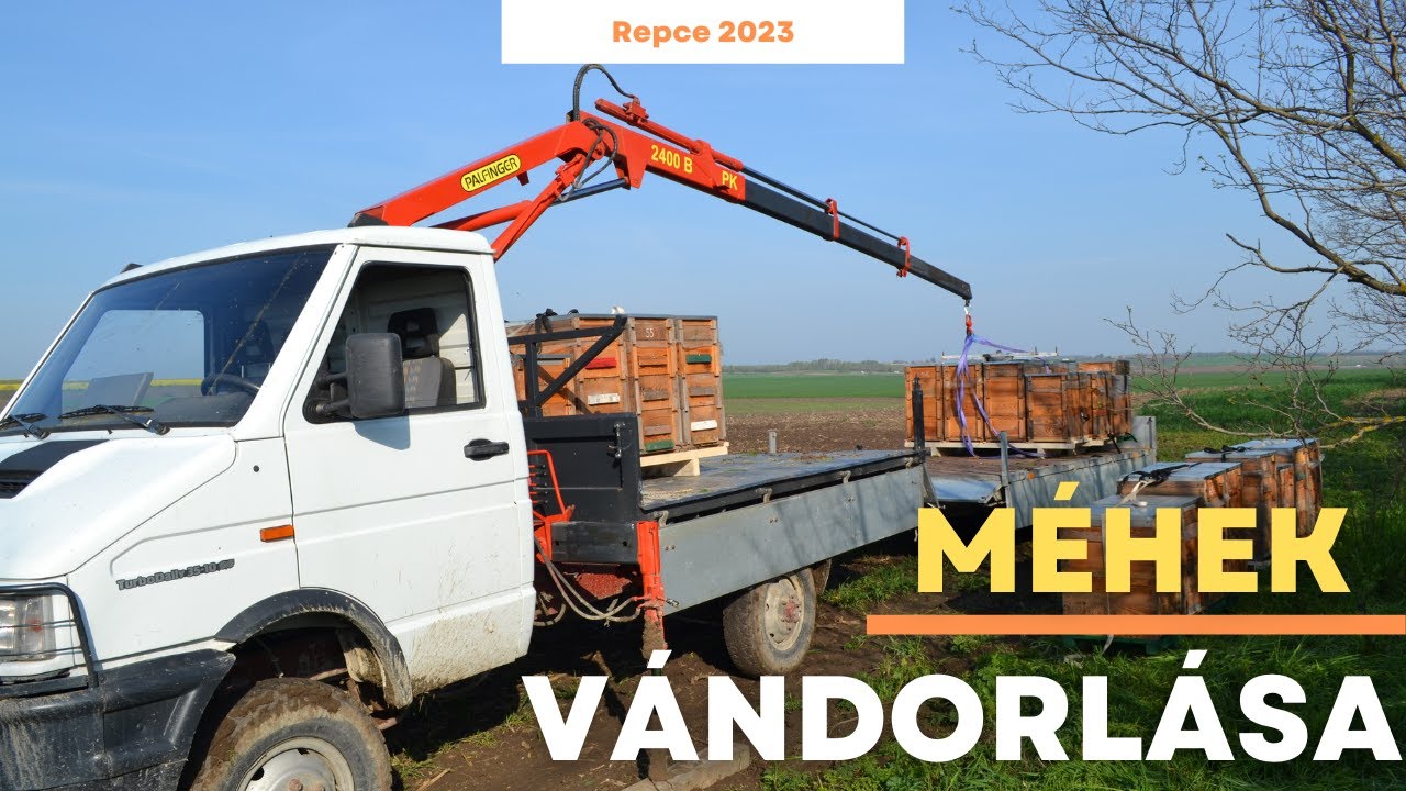 Méhészet - Méhek vándorlása