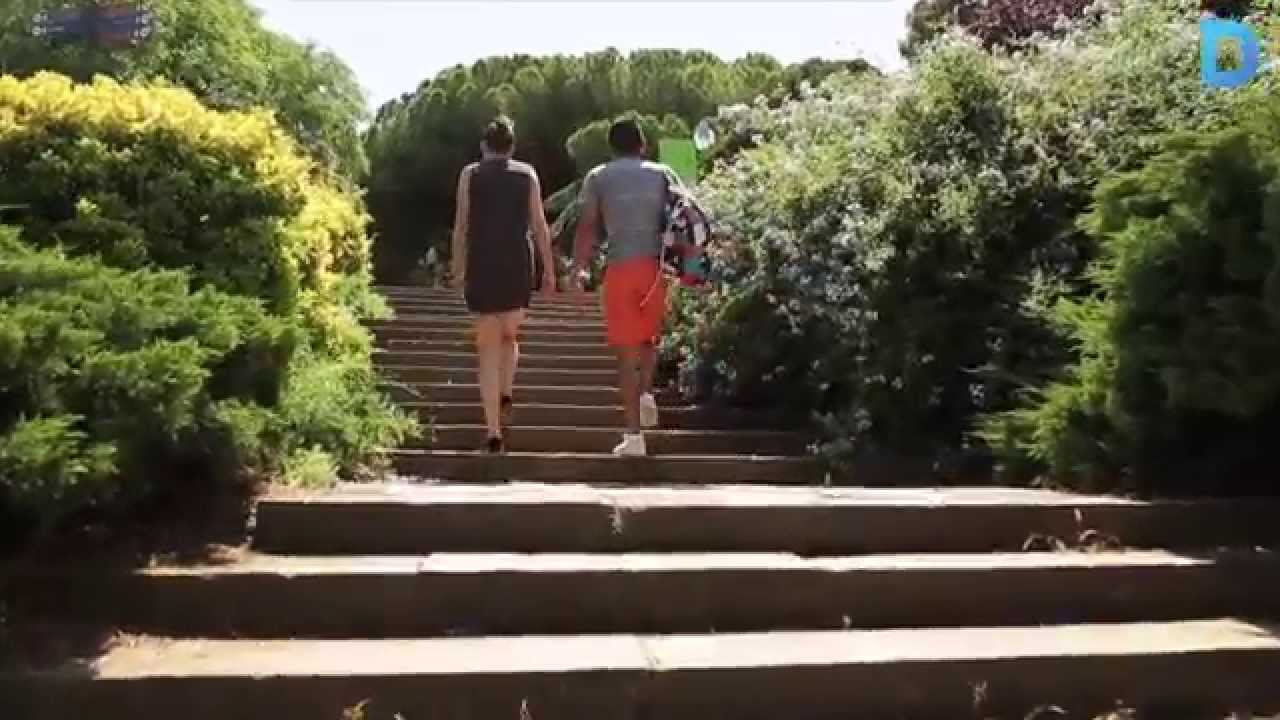 Visitar Montjuïc a través d'un itinerari botànic