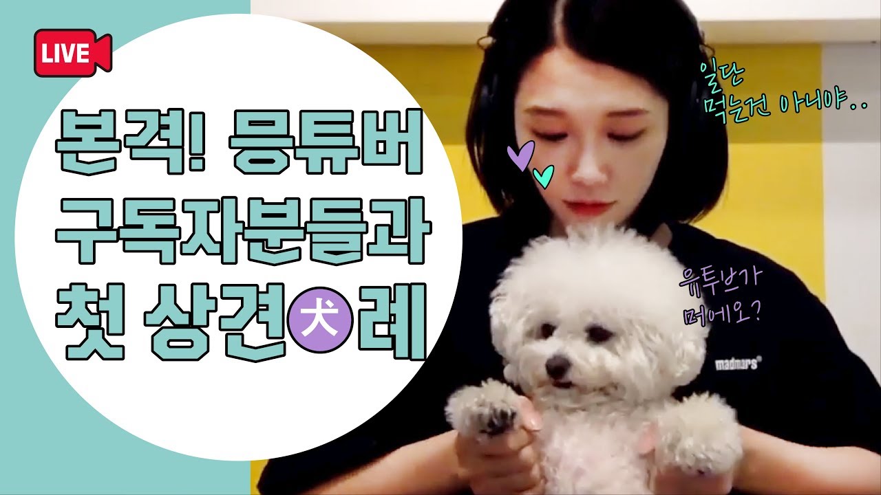 ❗️[ENG] 정은지가 유투브를 ?! '슬믕' 구독자분들과 첫 상犬례❗️