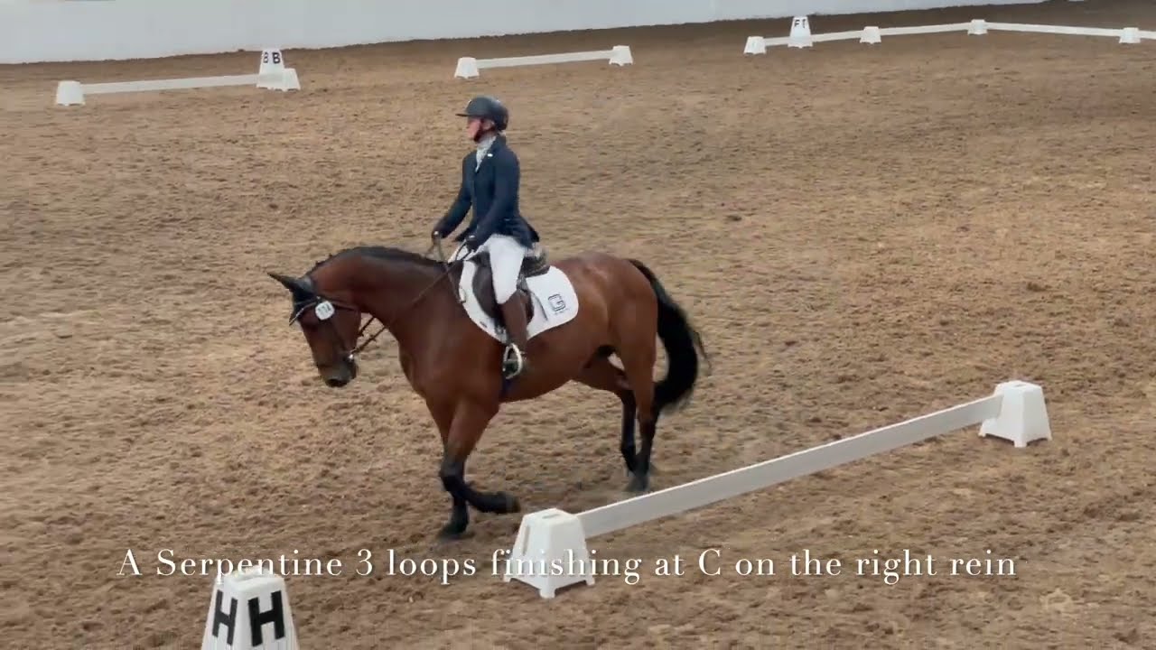 British Dressage Novice 1 (2024) with Annotation, West Park Equestrian