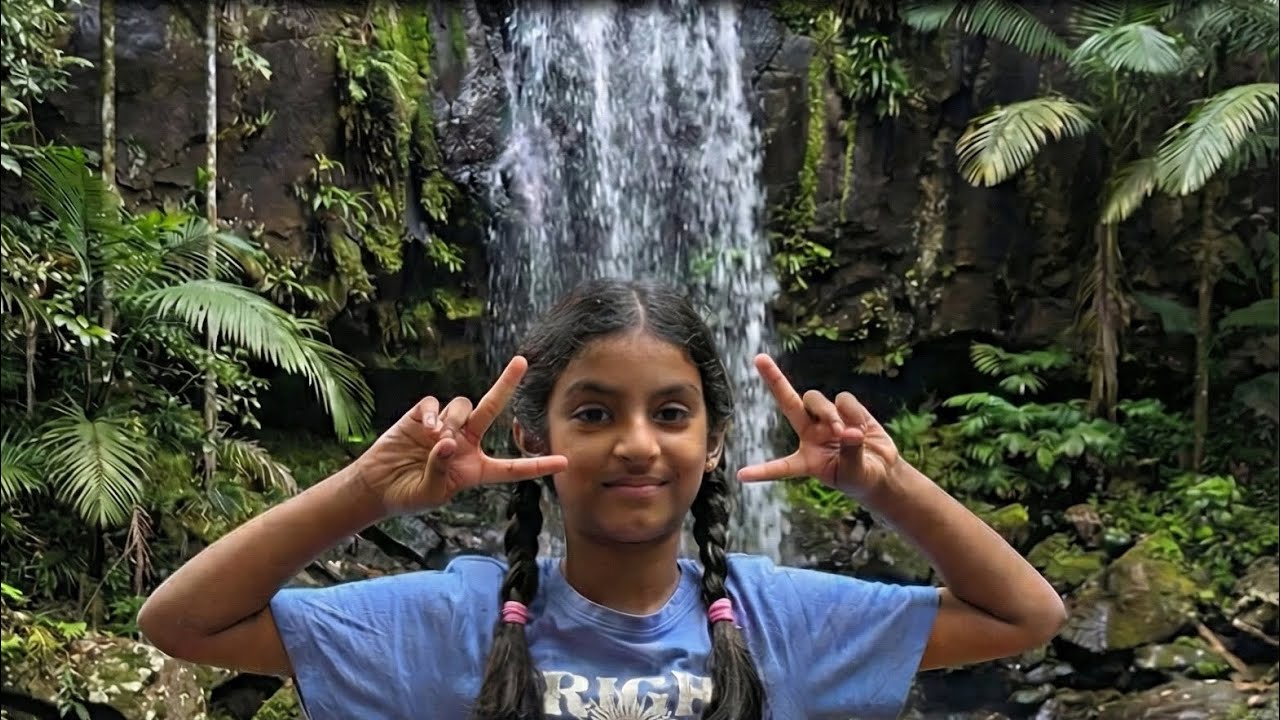  Don't Miss THIS Spot on Tamborine Mountain! (Curtis Falls) 🏞️🌿