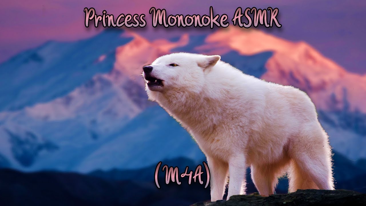 Princess Mononoke ASMR: Soothing a Wild Awoooga's Upset Tummy (Mic Scratchies) (Ginger Noming)