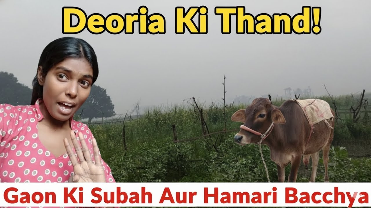 आज मैं अपनी गया के साथ बहुत मौज मस्ती की लेकिन आज का मौसम बहुत खराब हो गया है 🥺।​#villa sanjanavlog 