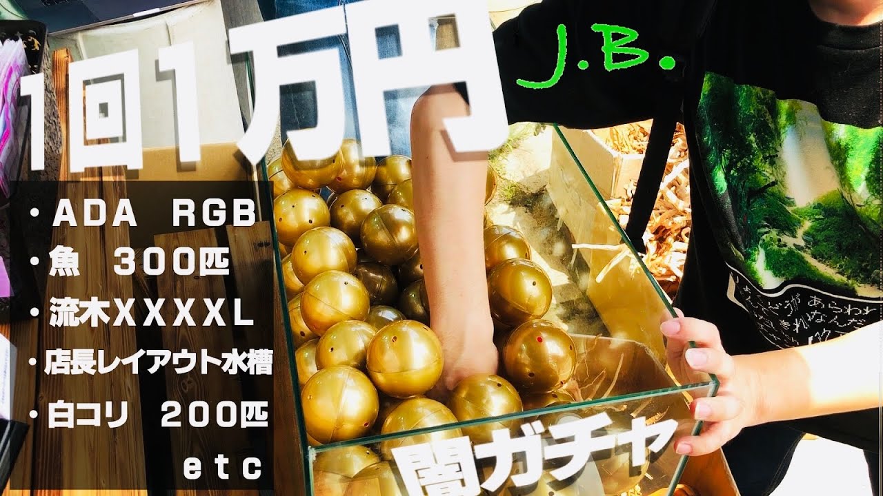 【ｱｸｱﾘｳﾑ】１万円でやばいモノが当たった【闇ガチャJ.B.】