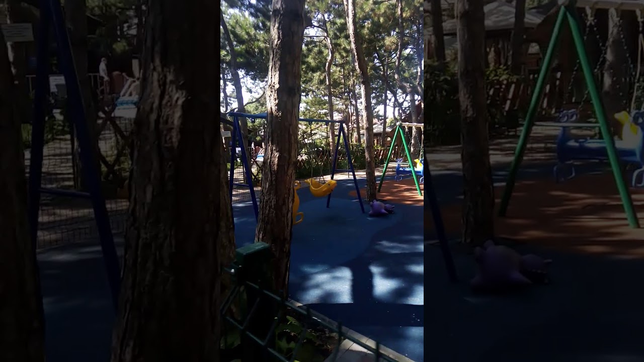 Комплекс 