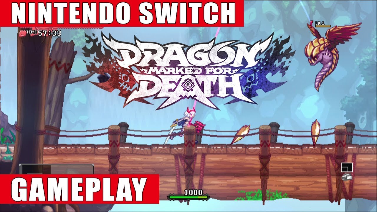 Dragon Marked For Death Nintendo Switch Gameplay