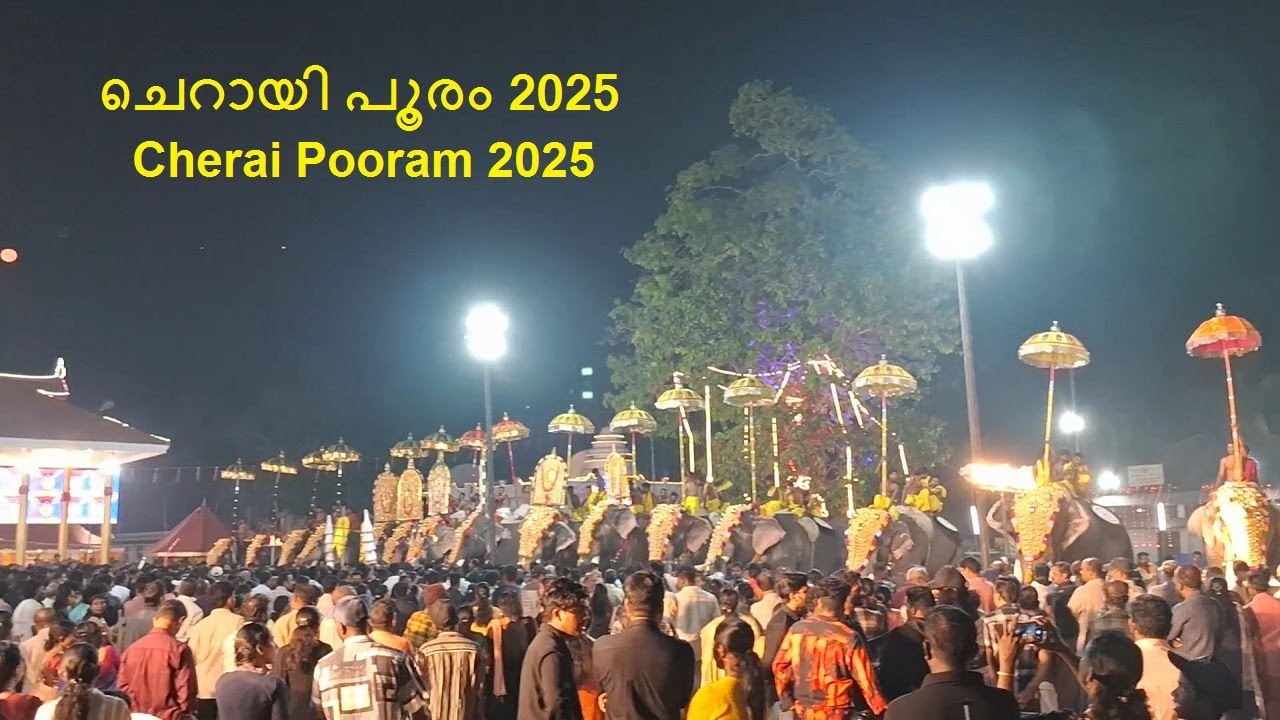 ചെറായി പൂരം 2025 | cherai pooram 2025 | cherai gowreeswara temple pooram 2025 | cherai pooram