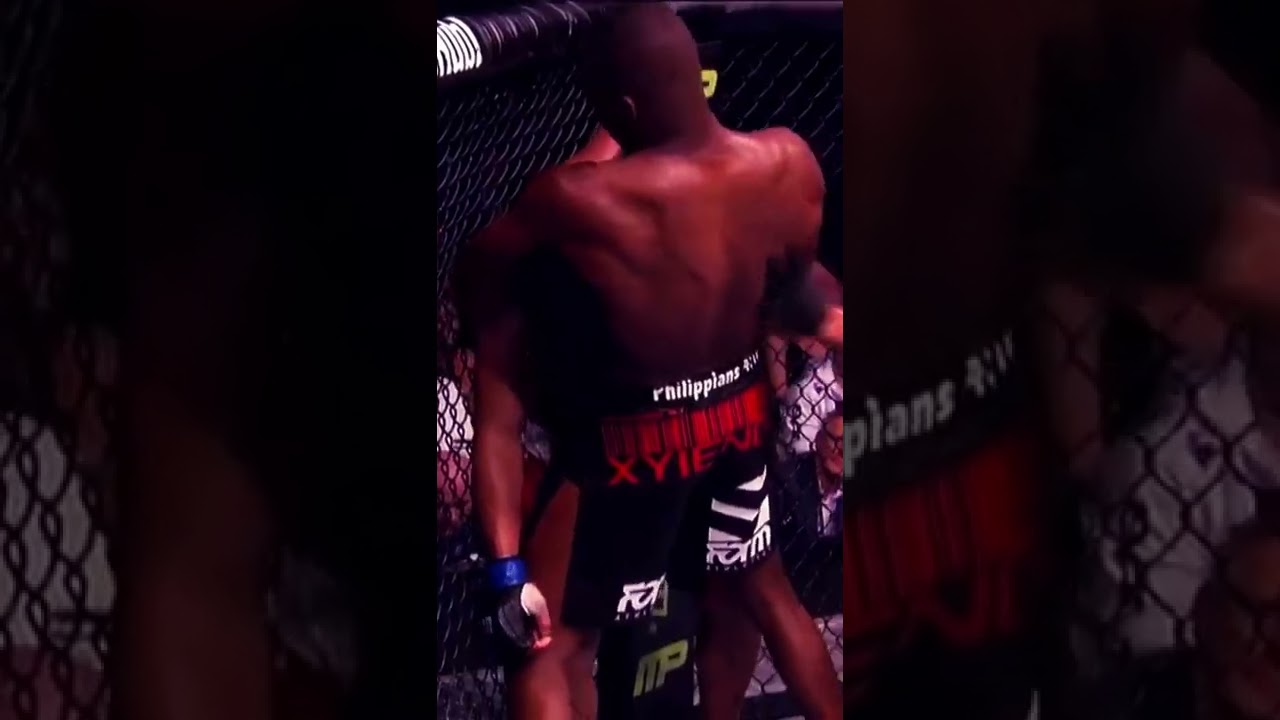 Jon Jones Chokes out Lyoto Machida at UFC 140 #shorts #ufc #fight #champion #1
