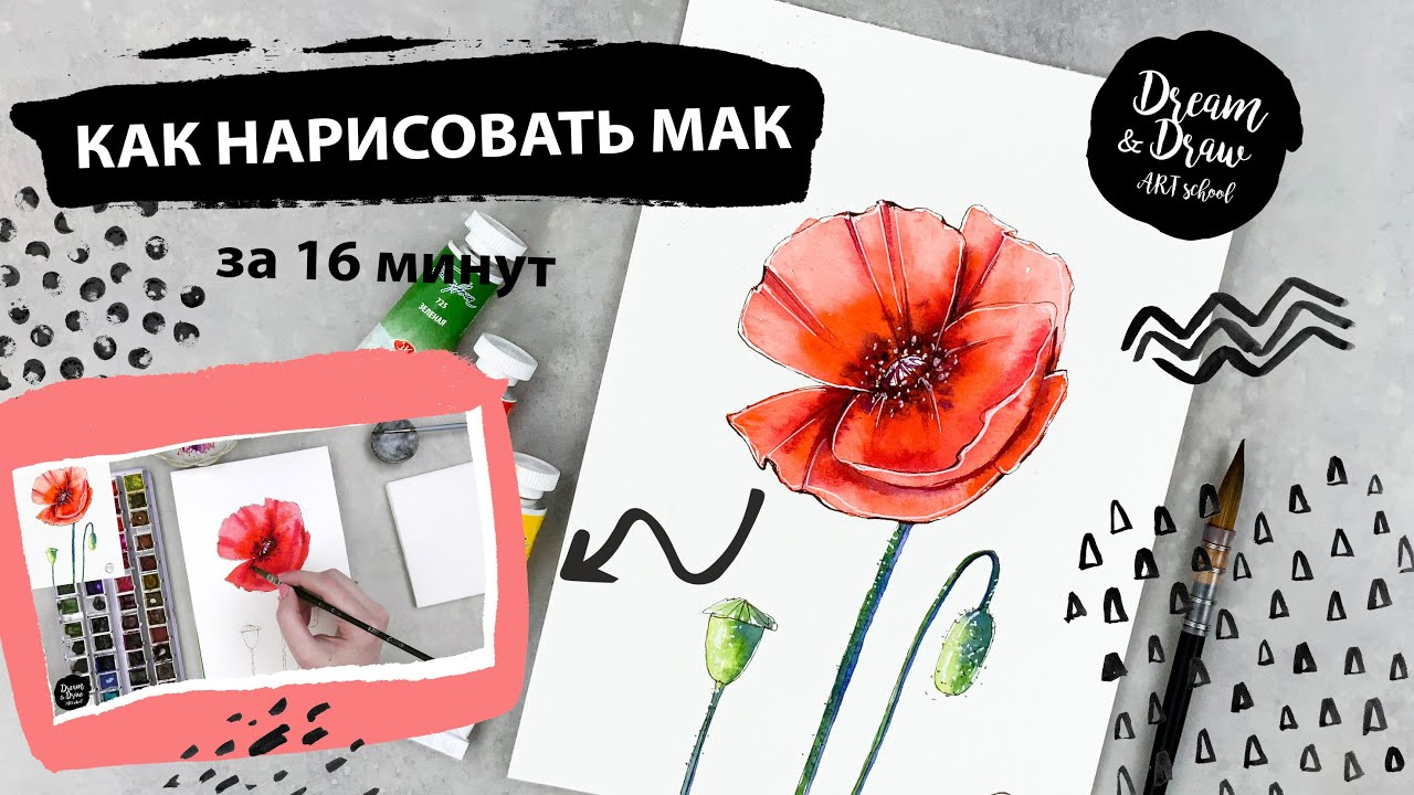 Рисуем красный мак. Уроки рисования. Акварельный скетчинг