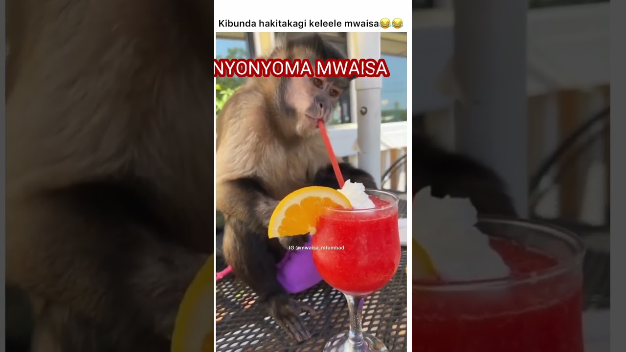 MWAISA ANAOGOPA KUNYONYWA DYUDYUU ASIJE ONDOLEWA MAZAGA😂😂😂🤣🤣