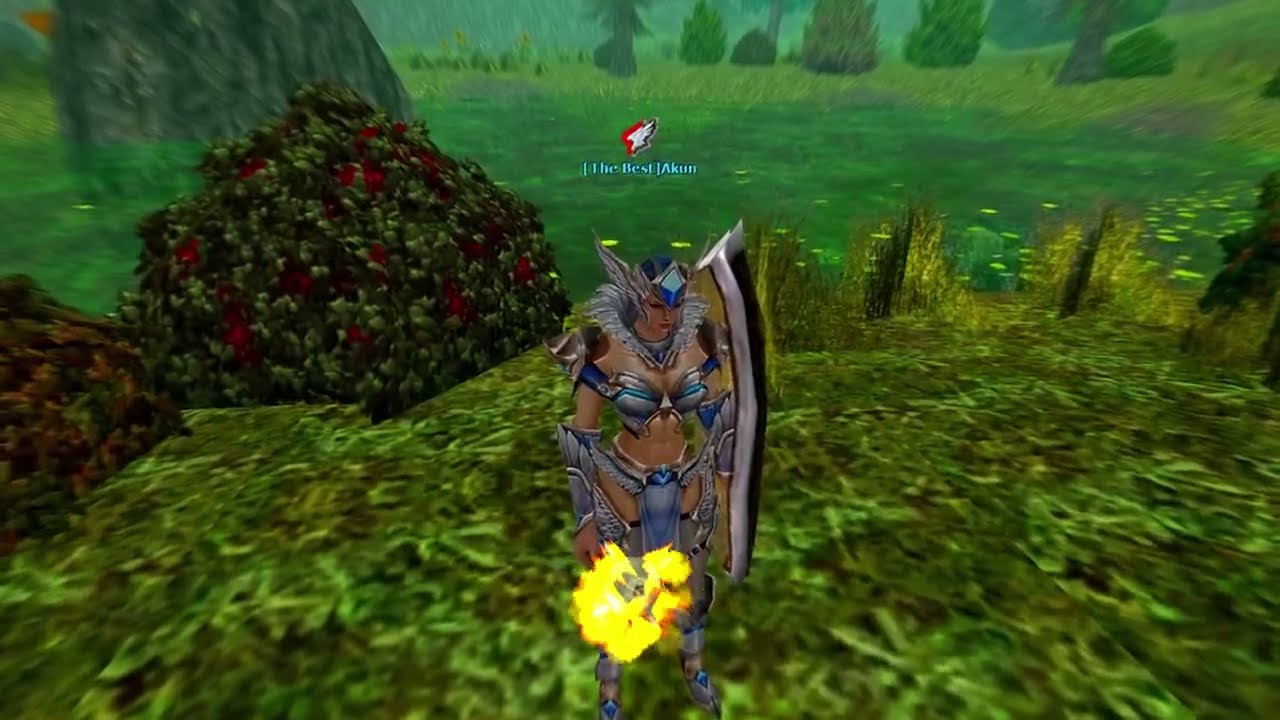 Knight Online Oreads. Akın, CC priest, PK serisi: 62