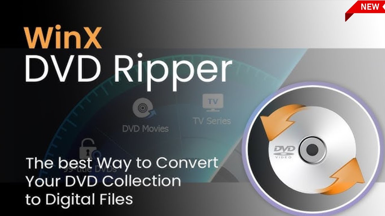 Учебное пособие по WinX DVD Ripper 2024: конвертация DVD в MP4, HEVC и другие форматы