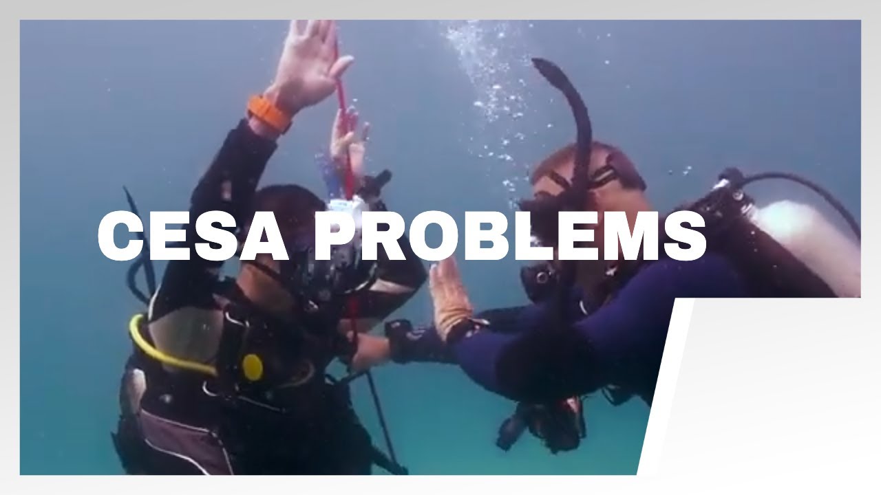 How to Conduct a Controlled Emergency Swimming Ascent (CESA): Common Problems - PADI Open Water