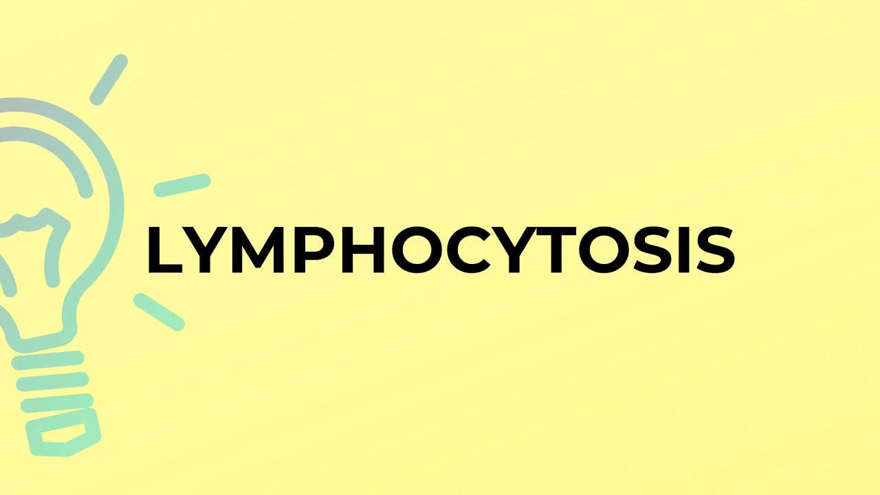 What is the meaning of the word LYMPHOCYTOSIS?