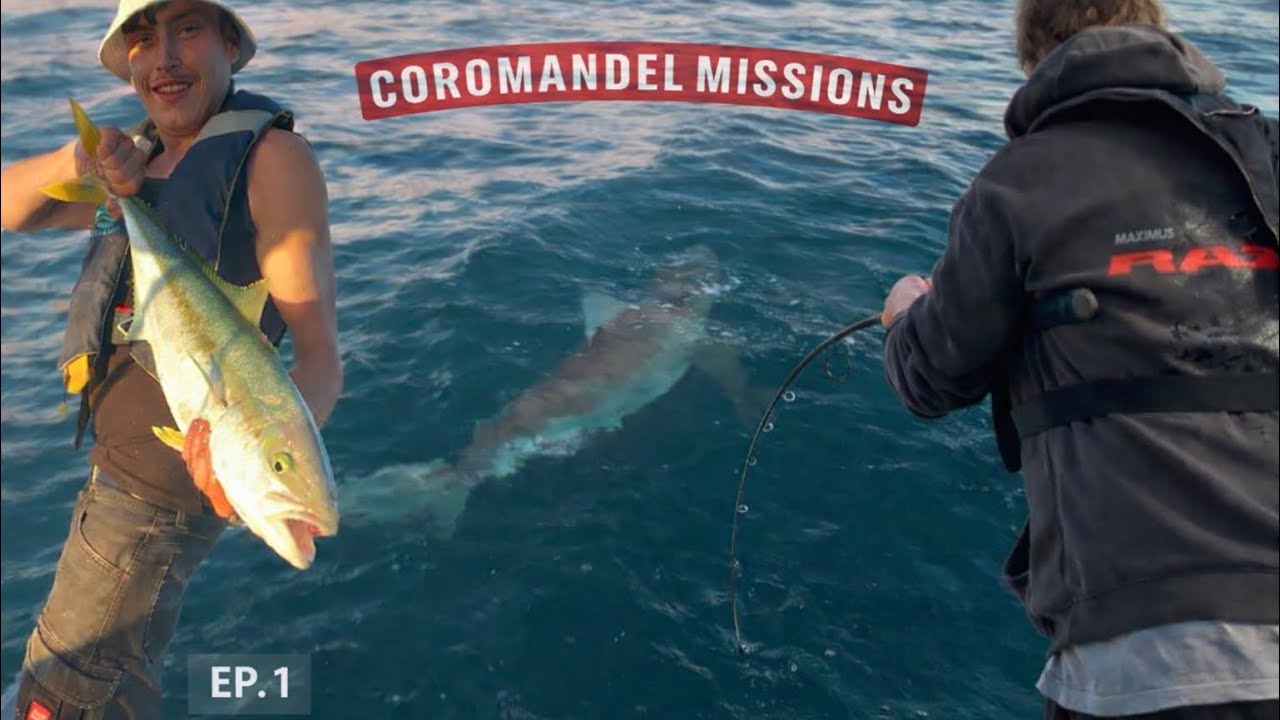 First Kingy and Massive Bronzie from the 15ft Tinny! | Coromandel Missions EP. 1