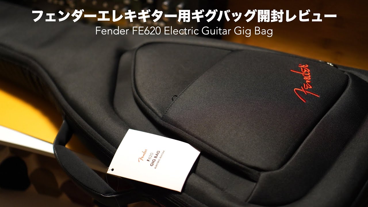 Хорошая экономичность! [Fender FE620 Electric Guitar Gig Bag]