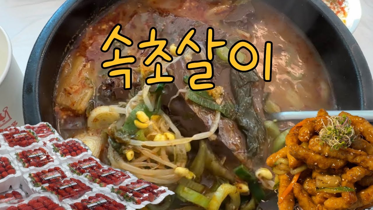 속초주부 브이로그