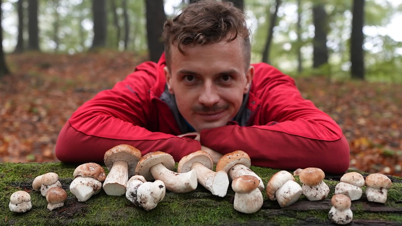 PRAWDZIWKI w magicznym lesie dzieciństwa