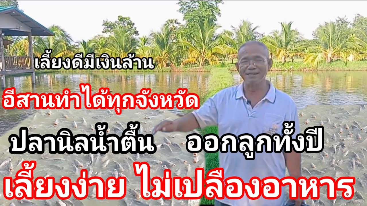 อยากให้คนอีสานได้ดูคลิปนี้ ทำได้จริง มีเงินปลดหนี้เหมาะสำหรับพื้นที่อีสาน ลงทุนน้อย